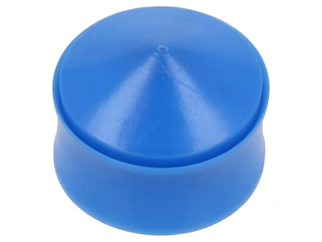 Plug voor spuiten; 30/55ml; blauw; universeel Plug voor spuiten; 30/55ml; blauw; universeel